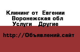 Клининг от «Евгении» - Воронежская обл. Услуги » Другие   